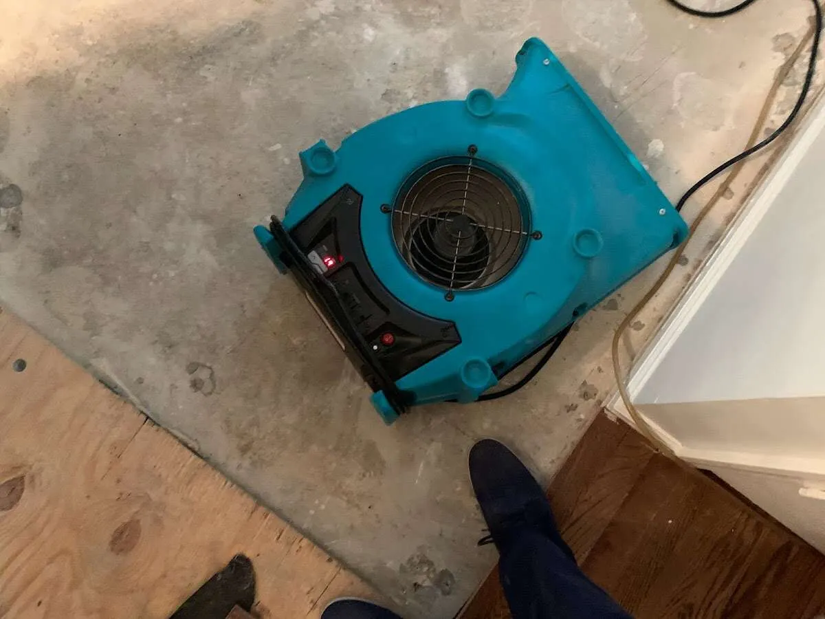 Air mover drying subfloor during Leak Detection & Repair in Blue Springs